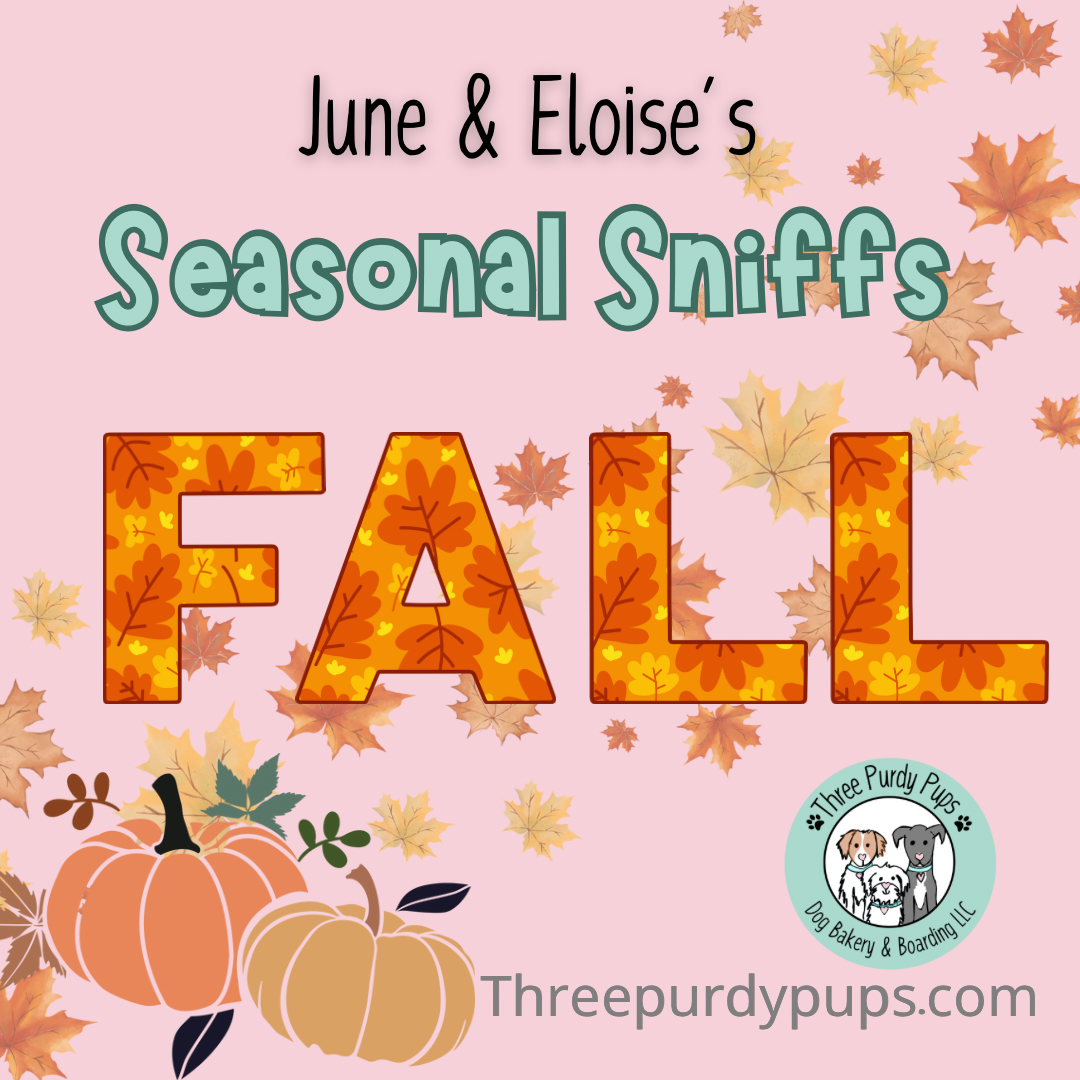 June & Eloise’s Seasonal Sniffs Fall 2025