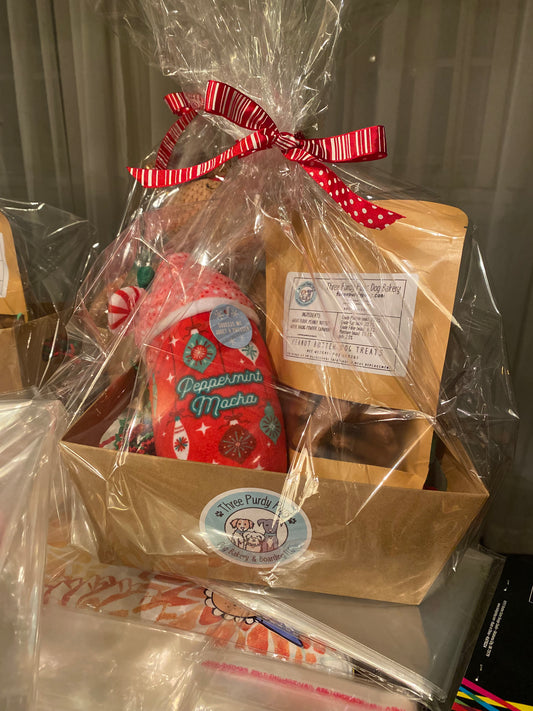 Christmas Toy Box and Treat Bag