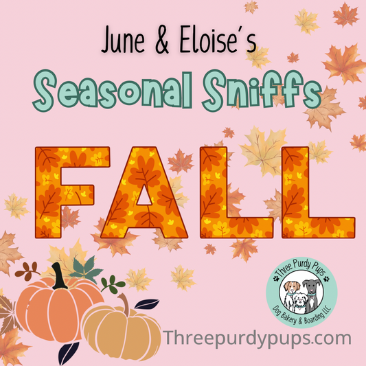 June & Eloise’s Seasonal Sniffs Fall 2025